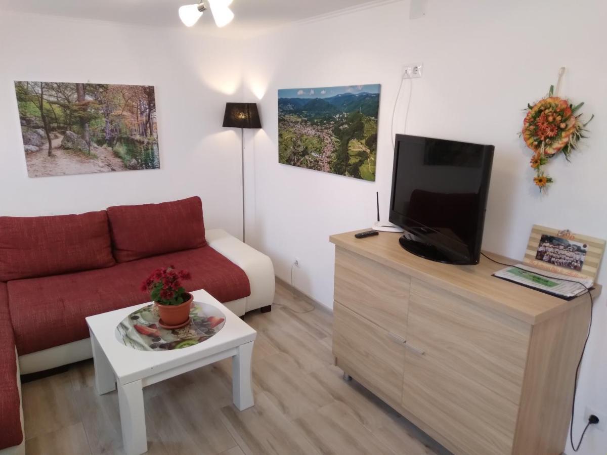 Raza Soarelui Apartament De Lux Sovata Eksteriør bilde